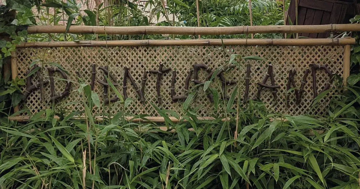 🗺️ Adventureland Secrets: Exotic Mysteries and Hidden Treasures at Disneyland Paris