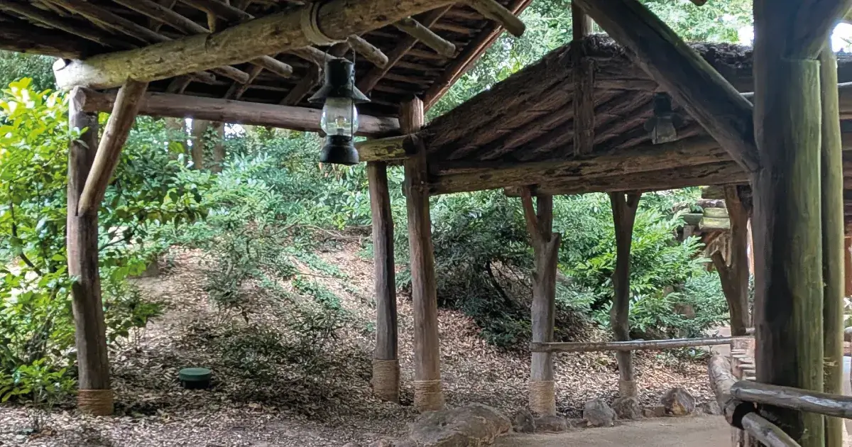 What Food Can You Bring to Disneyland Paris (and How to Save Without Losing the Magic)